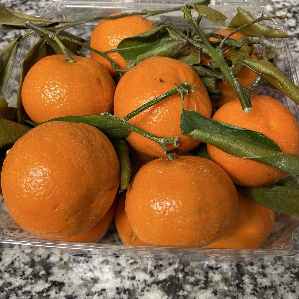 Trader Joe's - Mandarin oranges - Grocery Near Me - Germantown, Tennessee Trader Joe's - Mandarin oranges - Grocery Near Me - Germantown, Tennessee