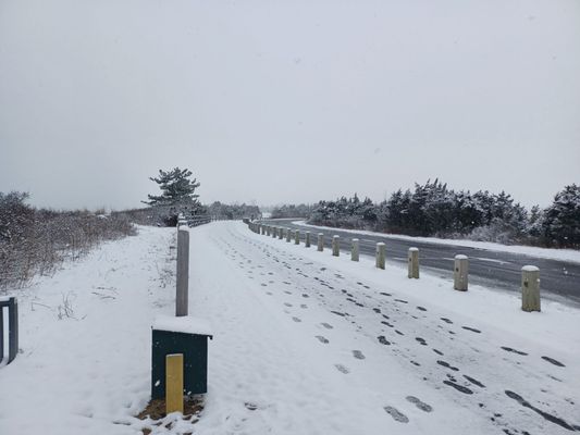 Hammonasset Beach State Park by null