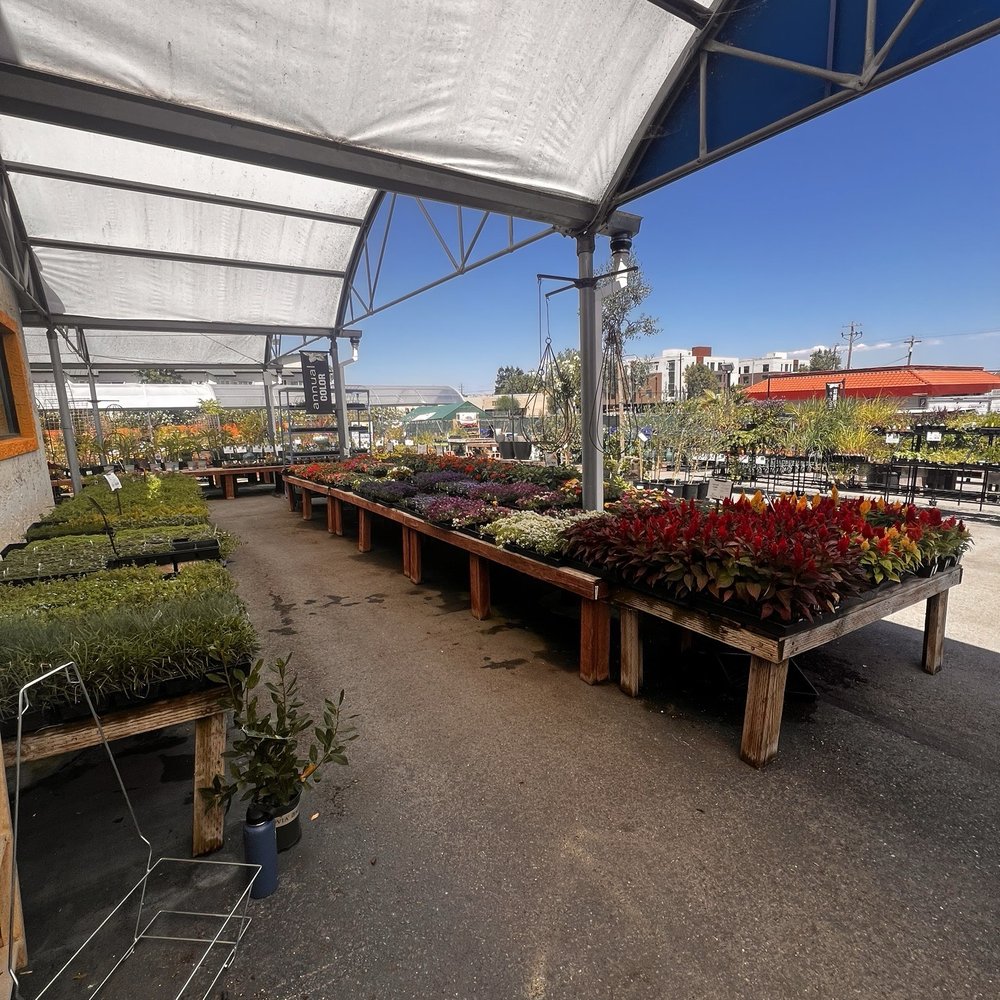 SummerWinds Nursery - Cupertino - Nurseries & Gardening Near Me - Cupertino, California SummerWinds Nursery - Cupertino - Nurseries & Gardening Near Me - Cupertino, California