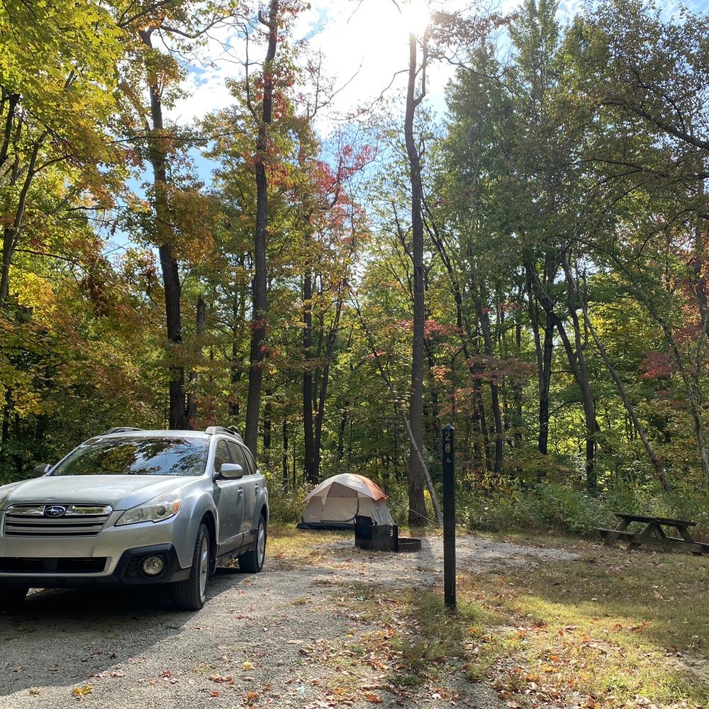 Underrated camp sites. First come first serve. $12 a night.