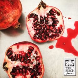 White Birch Juice