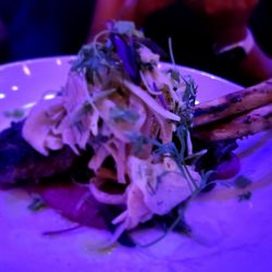 Vines by the H - Lambchops (Appetizer Ordered for Entree)