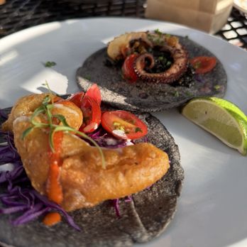 Holbox - Pulpo and Baja Shrimp Taco - Latin American Near Me - Los Angeles, California Holbox - Pulpo and Baja Shrimp Taco - Latin American Near Me - Los Angeles, California