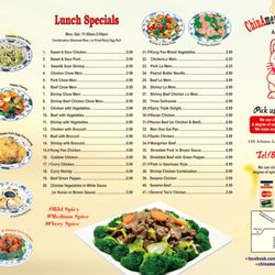 ChinAmerica Min’s Garden - Lunch Special Menu from Min's Garden