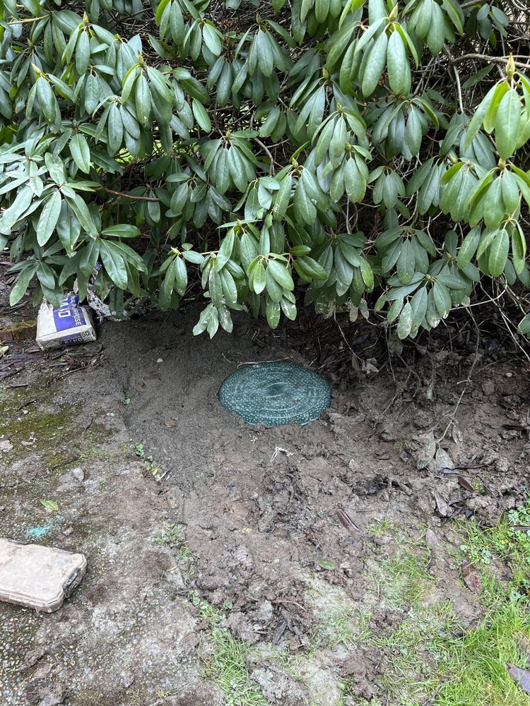 Slide of Septic Response