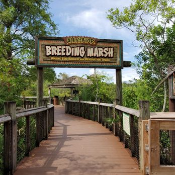 Gatorland - Zoos Near Me - Orlando, Florida Gatorland - Zoos Near Me - Orlando, Florida