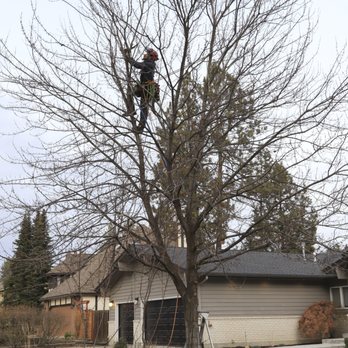 Spirit Pruners - Tree Services Near Me Spirit Pruners - Tree Services Near Me