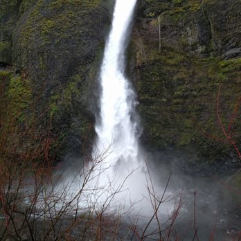Horsetail Falls - Hiking Near Me - Cascade Locks, Oregon