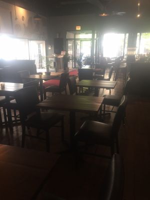 Fancy Plants Kitchen by null