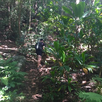 Mt Ka'ala Trail - Hiking Near Me - Waianae, Hawaii