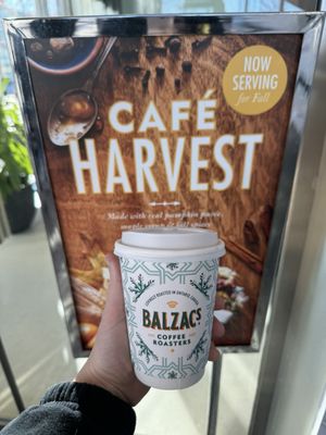Balzac's Vaughan Metropolitan Centre by null