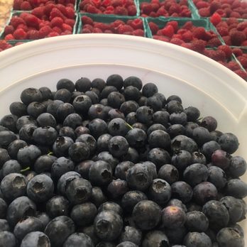 Rowell Bros - More berries picked at Rowell Bros! - Fruits & Veggies Near Me - Hillsboro, Oregon Rowell Bros - More berries picked at Rowell Bros! - Fruits & Veggies Near Me - Hillsboro, Oregon