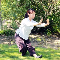 Body & Brain Yoga Tai Chi - Bethany