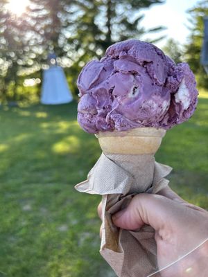 Blueberry Hill Dairy Bar by null