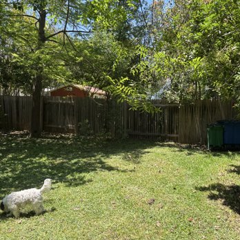 New Creation Landscaping - Mowed and edged lawn (previously overgrown) - Landscaping Near Me - Austin, Texas New Creation Landscaping - Mowed and edged lawn (previously overgrown) - Landscaping Near Me - Austin, Texas