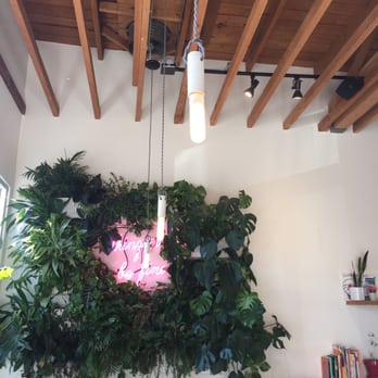 Dinosaur Coffee - Coffee & Tea Near Me - Los Angeles, California Dinosaur Coffee - Coffee & Tea Near Me - Los Angeles, California