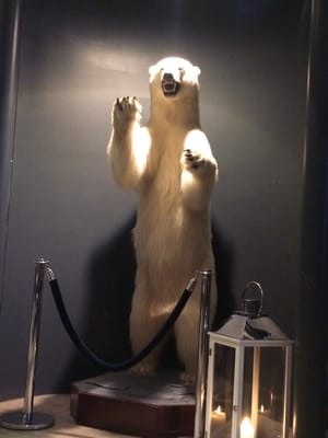 Radisson Blu Hotel, Tromso by null