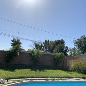 Desert Coral Landscaping  - Arcadia Customer needed a Clean Up Mowing, Trimming and Weed Control. (BEFORE) - Landscaping Near Me