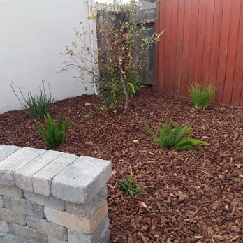 Affordable Landscape & Design - River Birch and seating - Landscaping Near Me
