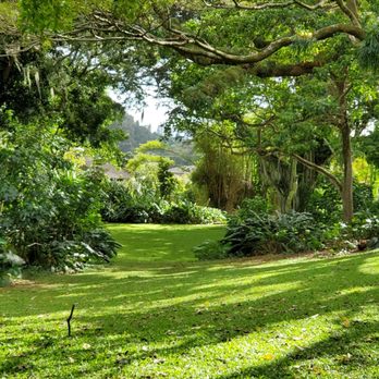 Nuuanu Valley Park - Parks Near Me - Honolulu, Hawaii Nuuanu Valley Park - Parks Near Me - Honolulu, Hawaii