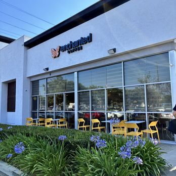 Enchanted Coffee - The shady side of the building in late afternoon - Coffee & Tea Near Me - Santa Ana, California
