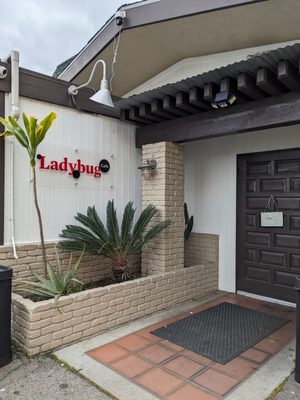 Ladybug Café by null