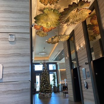 Kimpton Hotel Arras - Hotels Near Me - Asheville, North Carolina Kimpton Hotel Arras - Hotels Near Me - Asheville, North Carolina