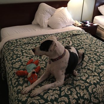 Tonopah Station Hotel - Hotels Near Me - Tonopah, Nevada Tonopah Station Hotel - Hotels Near Me - Tonopah, Nevada