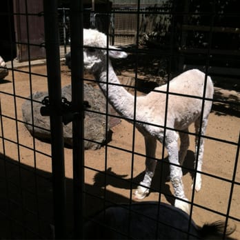 Applegate Park Zoo - Zoos Near Me - Merced, California Applegate Park Zoo - Zoos Near Me - Merced, California