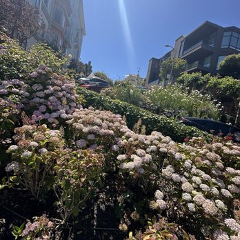 Lombard Street - Landmarks & Historical Buildings Near Me - San Francisco, California