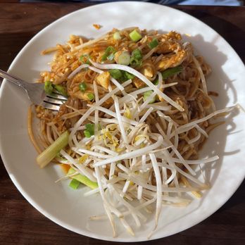 Thai Dish Restaurant - Pad Thai - Thai Near Me - Clearwater, Florida Thai Dish Restaurant - Pad Thai - Thai Near Me - Clearwater, Florida