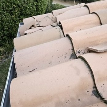 Ecola Termite and Pest Control Services - Pest Control Near Me - Mission Hills, California Ecola Termite and Pest Control Services - Pest Control Near Me - Mission Hills, California