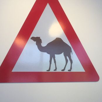Naf Naf Grill - Middle Eastern Near Me - Glenview, Illinois