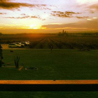 Artisans of Barossa by null