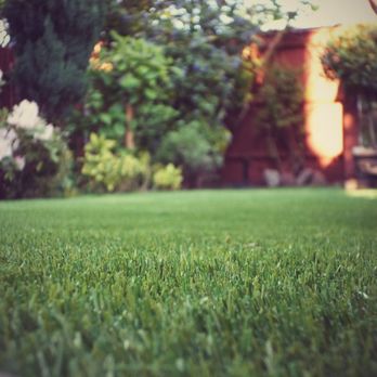 Pro Turf Landscape Services - a green lawn in front of a house - Lawn Services Near Me - Brownsboro, Alabama Pro Turf Landscape Services - a green lawn in front of a house - Lawn Services Near Me - Brownsboro, Alabama