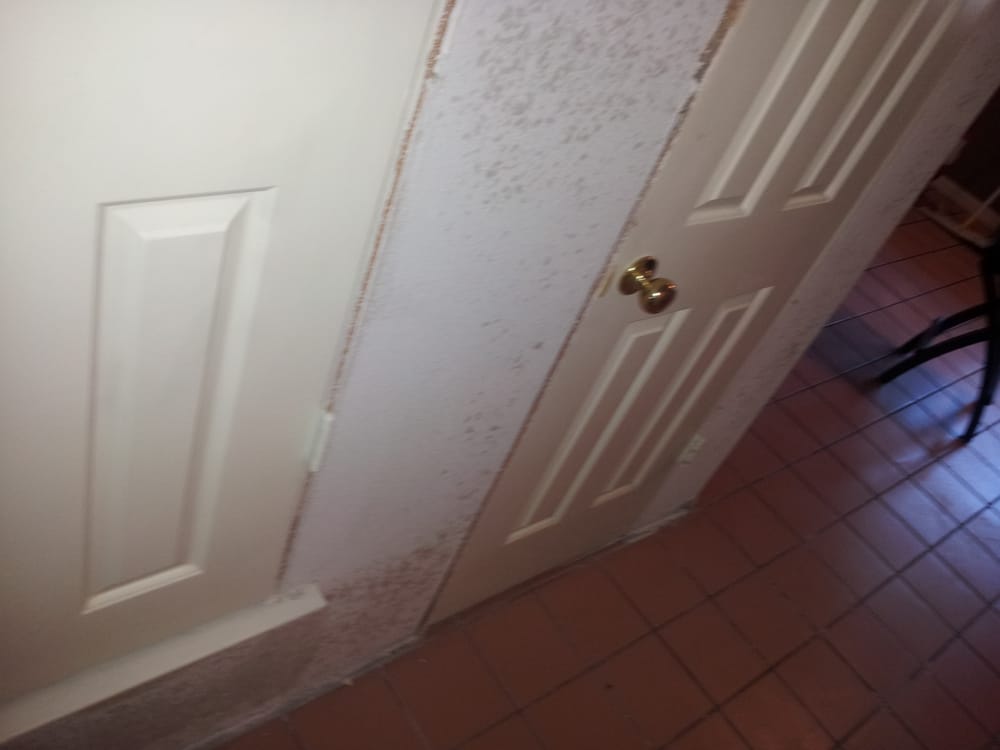 Slide of Hi-Tech Disaster & Recovery