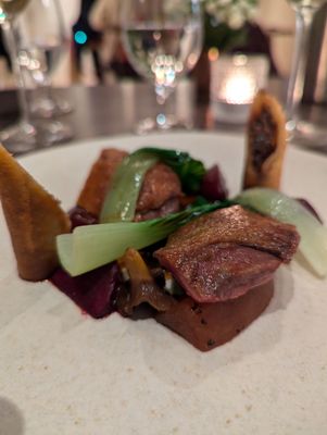 The Silver Birch by null