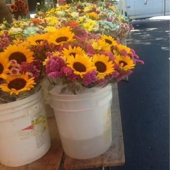 Downtown Farmer's Market - Farmers Market Near Me - Riverside, California Downtown Farmer's Market - Farmers Market Near Me - Riverside, California