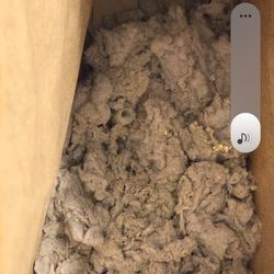 Walsh Dryer Vent Service