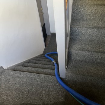Spotless Carpet Cleaning - Carpet Cleaning Near Me - Westbury, New York Spotless Carpet Cleaning - Carpet Cleaning Near Me - Westbury, New York
