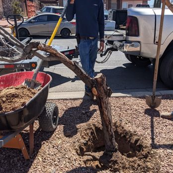 R&R Deliveries - Tree Services Near Me R&R Deliveries - Tree Services Near Me