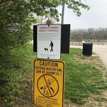 Antrim Park - Dogs are allowed to be off leash as long as your dog is well trained - Parks Near Me - Columbus, Ohio Antrim Park - Dogs are allowed to be off leash as long as your dog is well trained - Parks Near Me - Columbus, Ohio