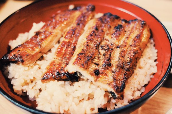 Kyogoku Kaneyo by null