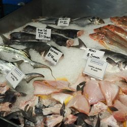 Harbour Fish