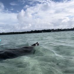 Jupiter Pointe Paddling