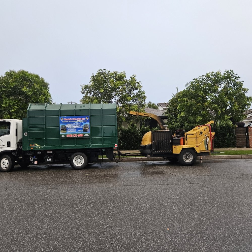 TOP 10 BEST Tree Services near Woodland Hills, Los Angeles, CA - Updated  2026 - Yelp