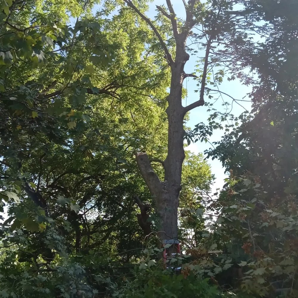 Slide of AP Servicios Generales