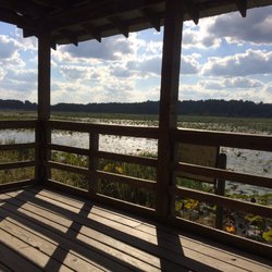 Noxubee National Wildlife Refuge - End of Boardwalk trail facing Bluff Lake- great spot for an afternoon nap (I tested, and I approve ;) hehehe)