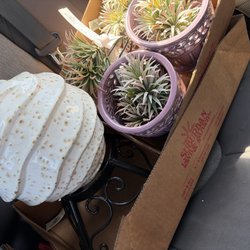 Suburban Lawn & Garden - Lots of garden decor finds!