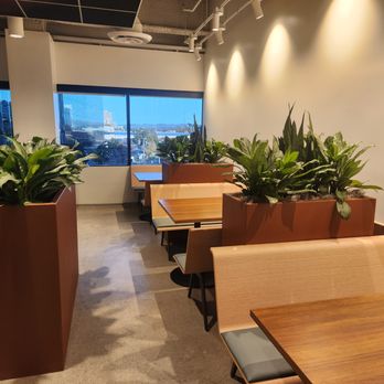 The Watering Can - Indoor Landscaping Near Me The Watering Can - Indoor Landscaping Near Me